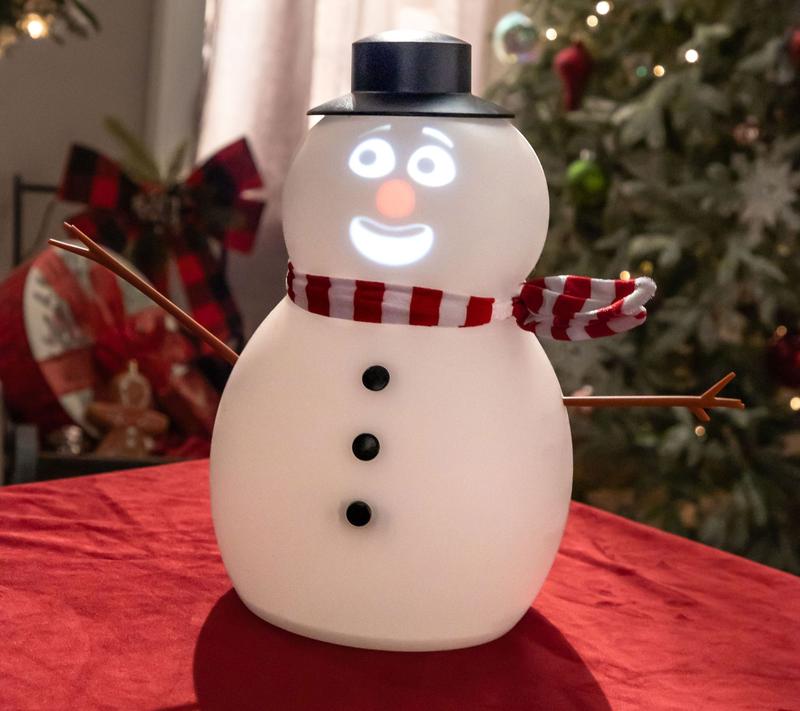 Talking Animated Blink SnowPal with Built in Projector & Speaker Plug'n Play